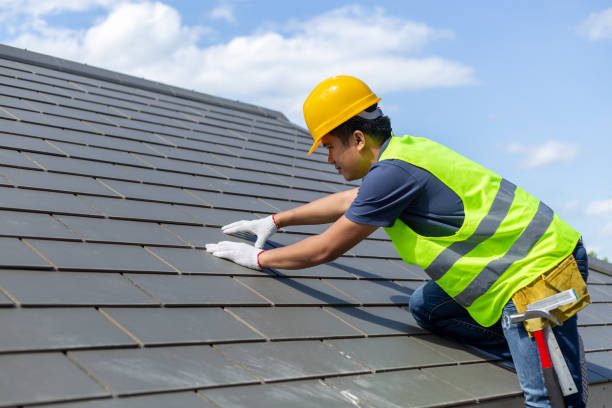 Roof Gutter Cleaning in Forestdale, MA