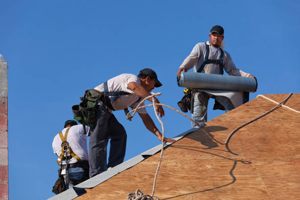 Best Gutter Installation and Roofing  in Forestdale, MA