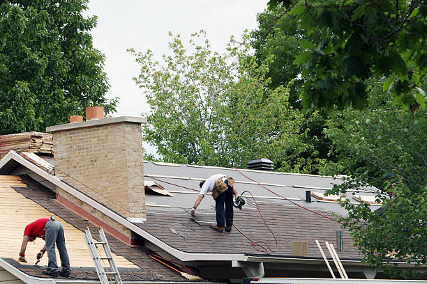 Best Roof Maintenance Services  in Forestdale, MA